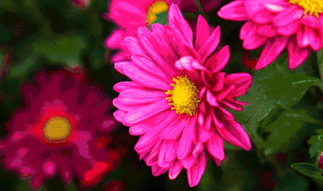 03吃重阳糕讨好彩头红绿黄三色重阳糕也是苏州人过重阳必吃的节令糕点