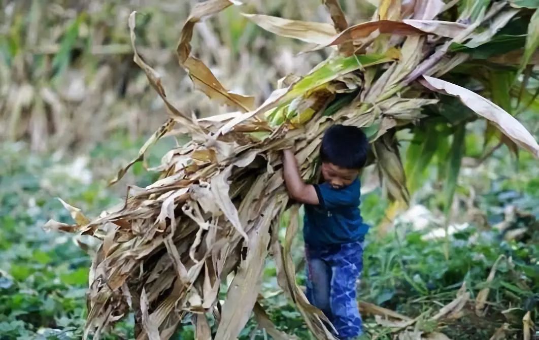 一组抚宁老照片火了小时候干过农活的才看得懂