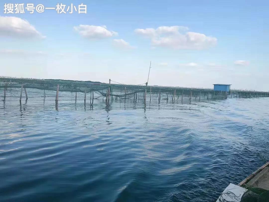 阳澄湖总面积有18万亩,养殖大闸蟹最好的水域是在东湖,东湖中又以莲花