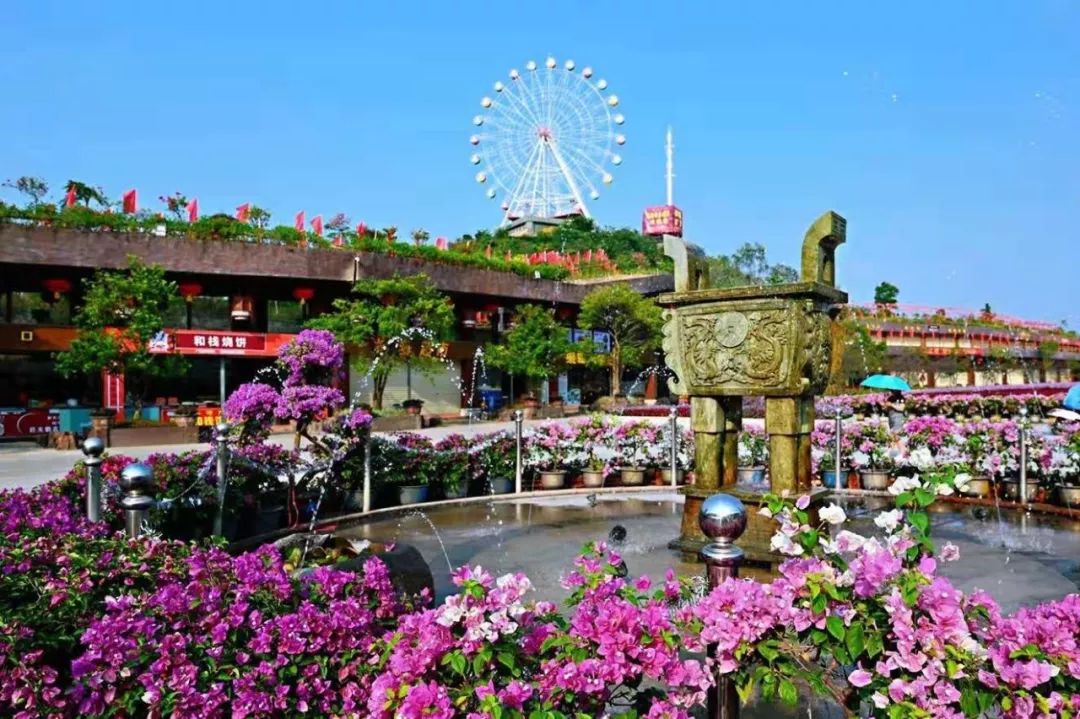 重要的事情说三遍恩平花海世界30多项机动游戏已全部开放一票就可以