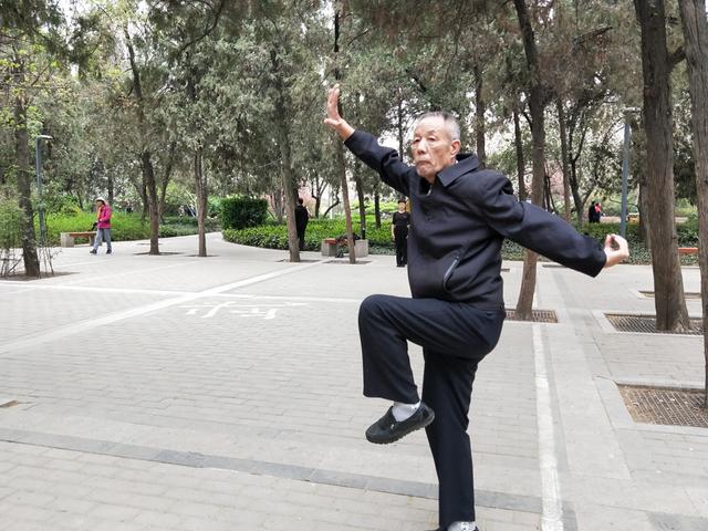 早上7点,在郑州市碧沙岗公园,你会看到一位70多岁的老人在打拳,从老人