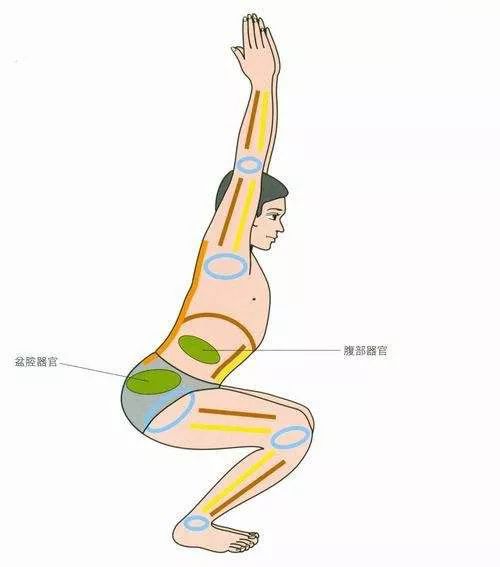 瑜伽体式故事之幻椅式