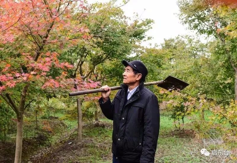 读你绿水青山在启东