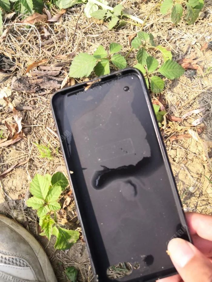 野钓小河鲫鲤齐欢乐高兴过头手机打窝了