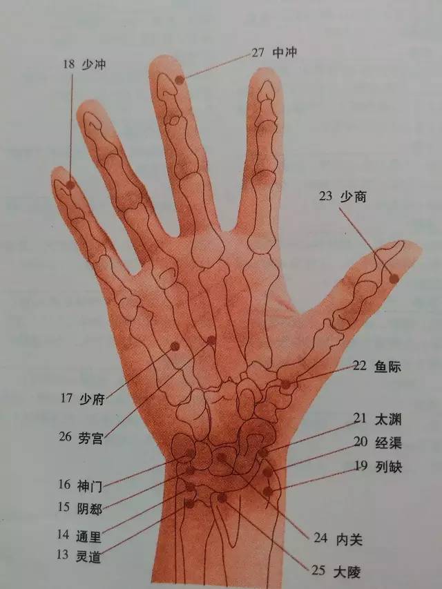 手掌穴位