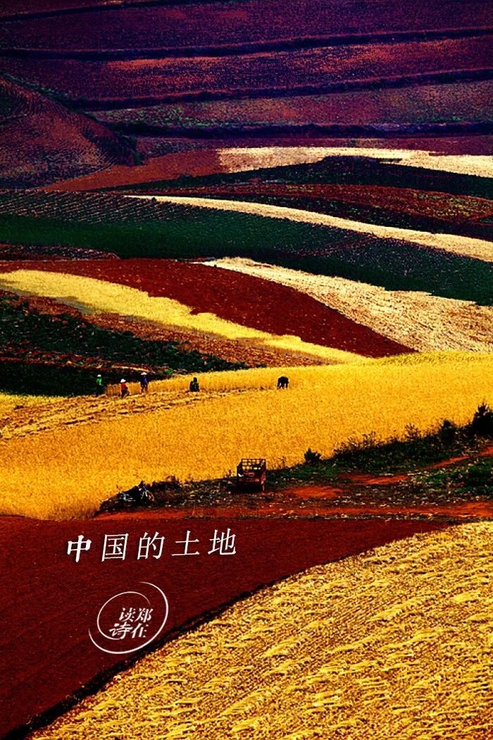 中国的土地创作背景图片