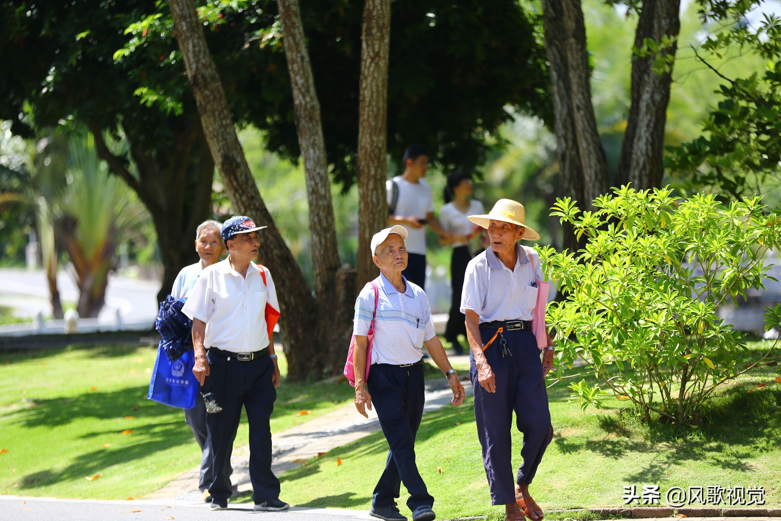三亚:中老年游客乐游南山 感受长寿文化度重阳