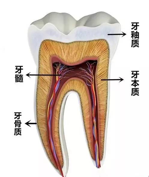 深圳布吉哪里有牙齿美白牙为什么会黄