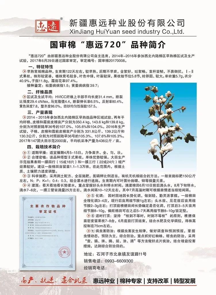 惠远720棉花品种简介?图片