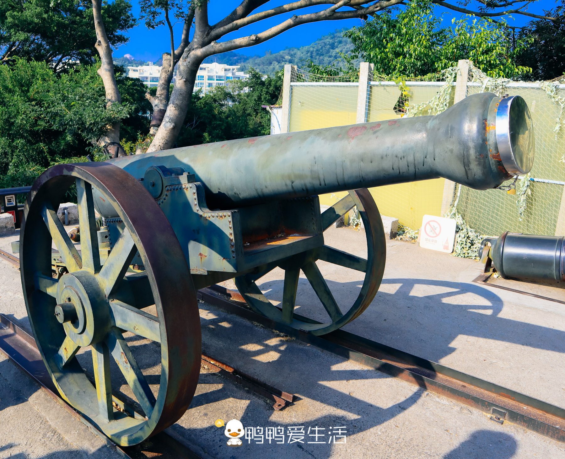 厦门大学边上藏世上现存最大海岸炮25元玩3小时表演电影全免费