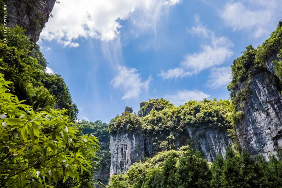 以国家非物质文化遗产"川江号子"为主题的《印象武隆》大型山水实景