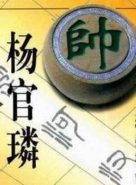 杨官璘:从东莞走向全国的"棋圣"