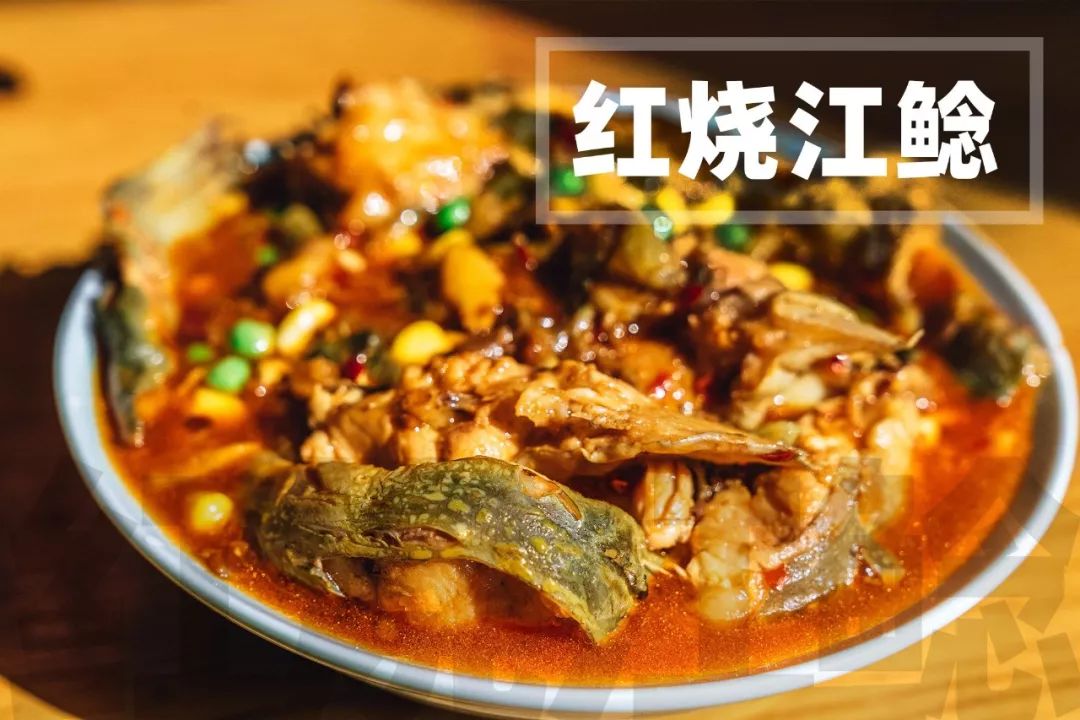 湖北人属猫靠吃鱼过日子