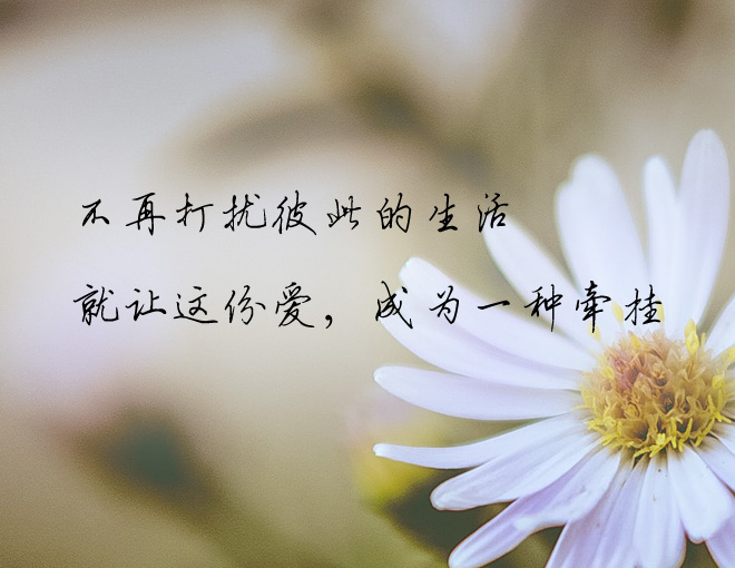嗨,某人;以后我不打扰你了