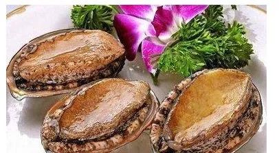 大连海参,产于大连沿海的一种刺参,又称灰刺参,海鼠,海黄瓜,是一种