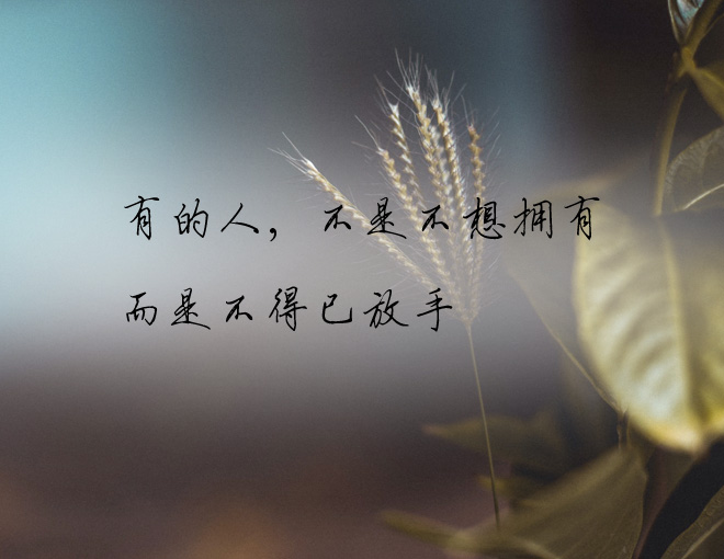 有的人,不是不想拥有,而是不得已放手.