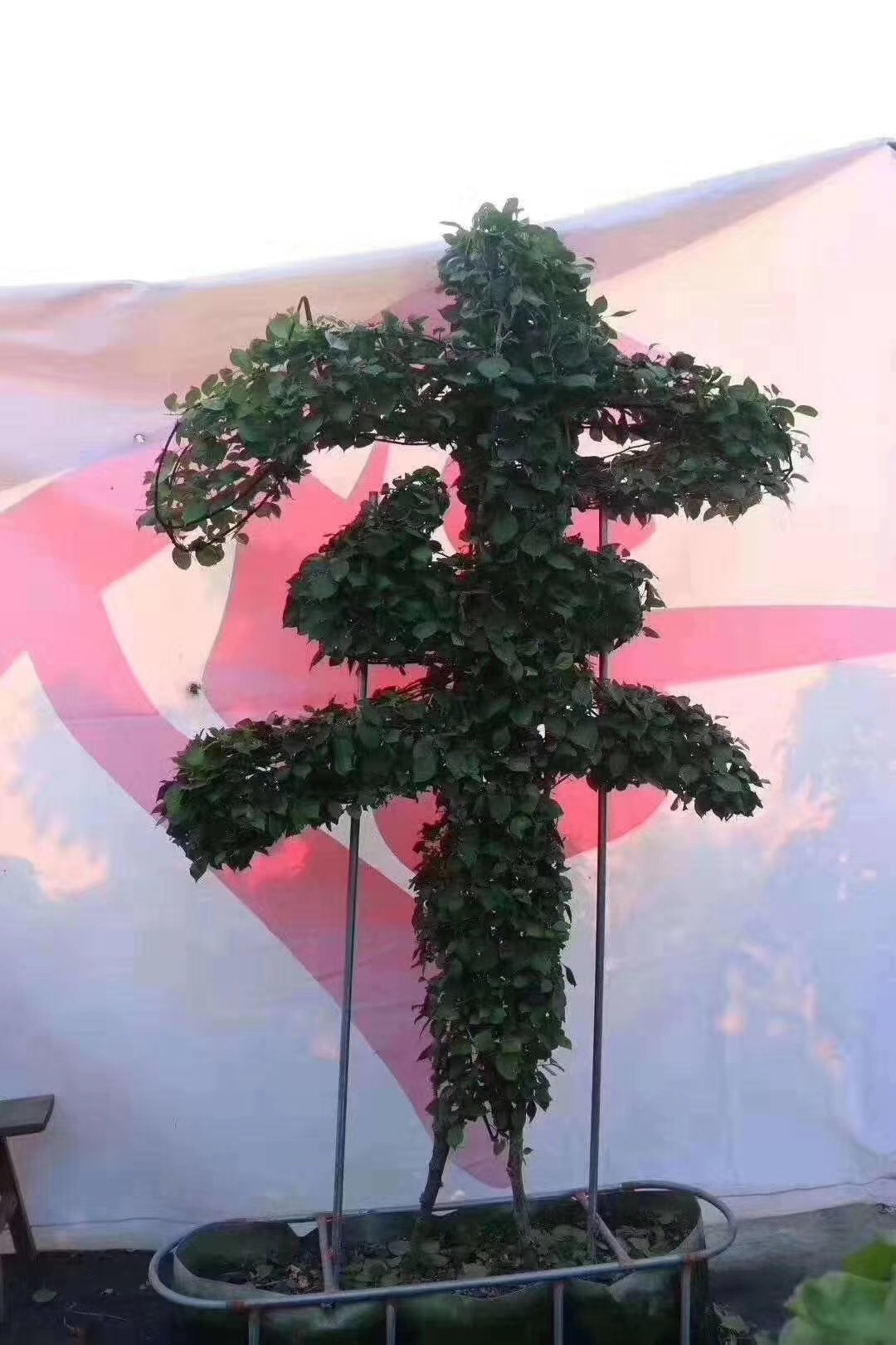 2019新款海棠 紫薇等植物编织字体艺术_造型