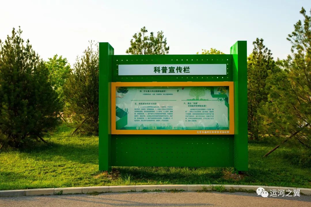 动感森林,创意森林5个特色景观区域,建成集生态保护,休闲健身,科普