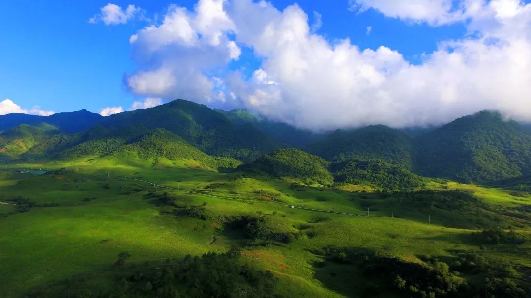 牡丹湖湿地公园禁溪出贡鱼,封山富乡亲潼南 太安镇绿树村边合