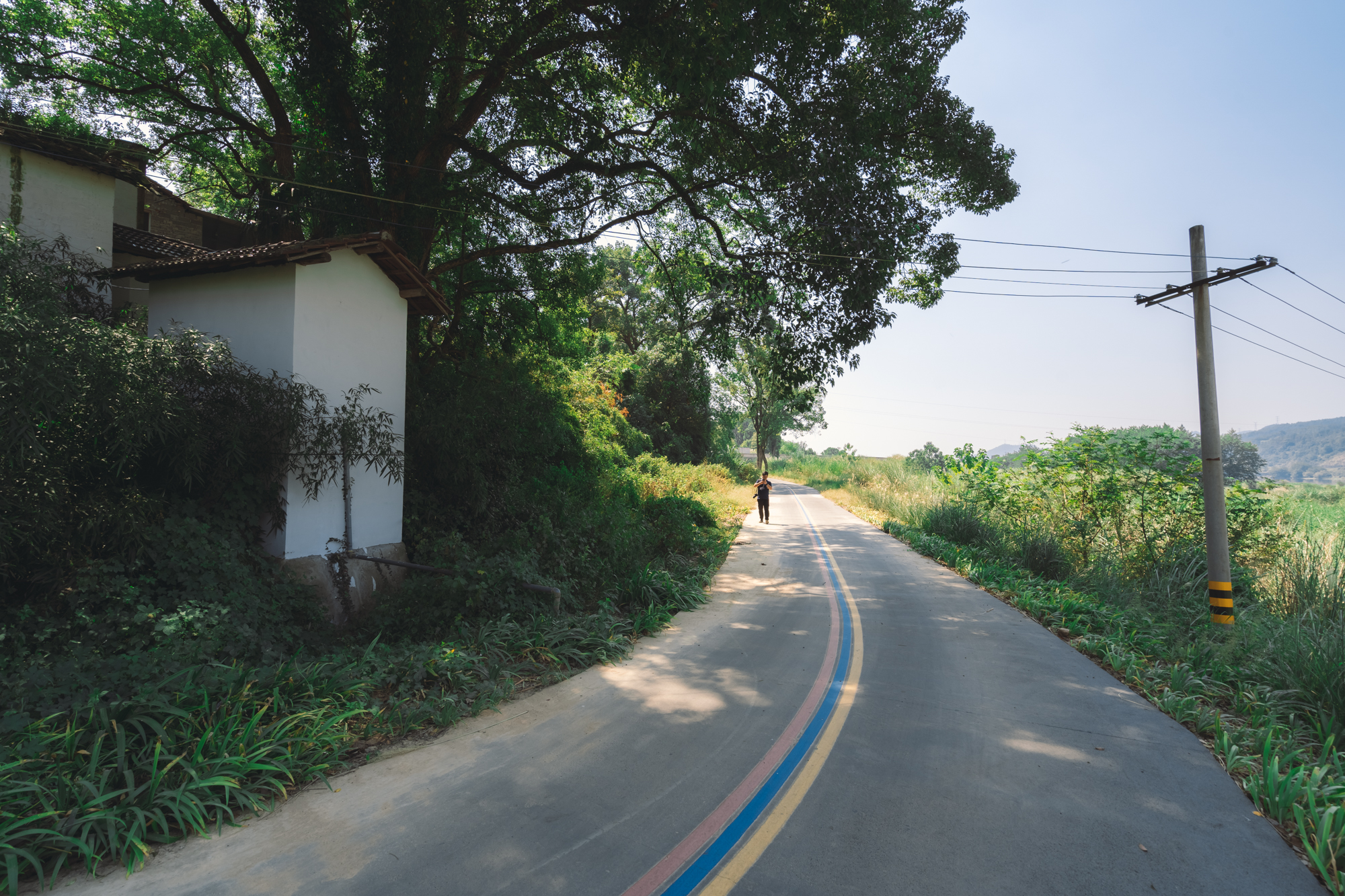 丽水小白岩村图片