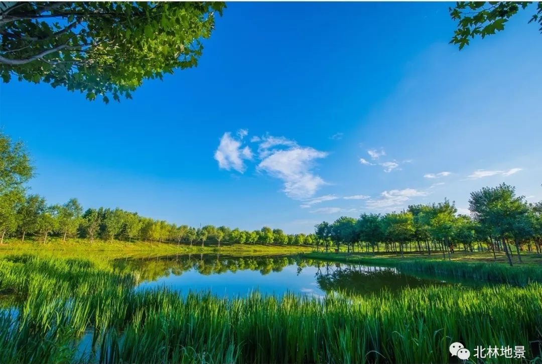 據瞭解,按園區整體規劃佈局,東郊森林公園內將重點建設華北樹木園