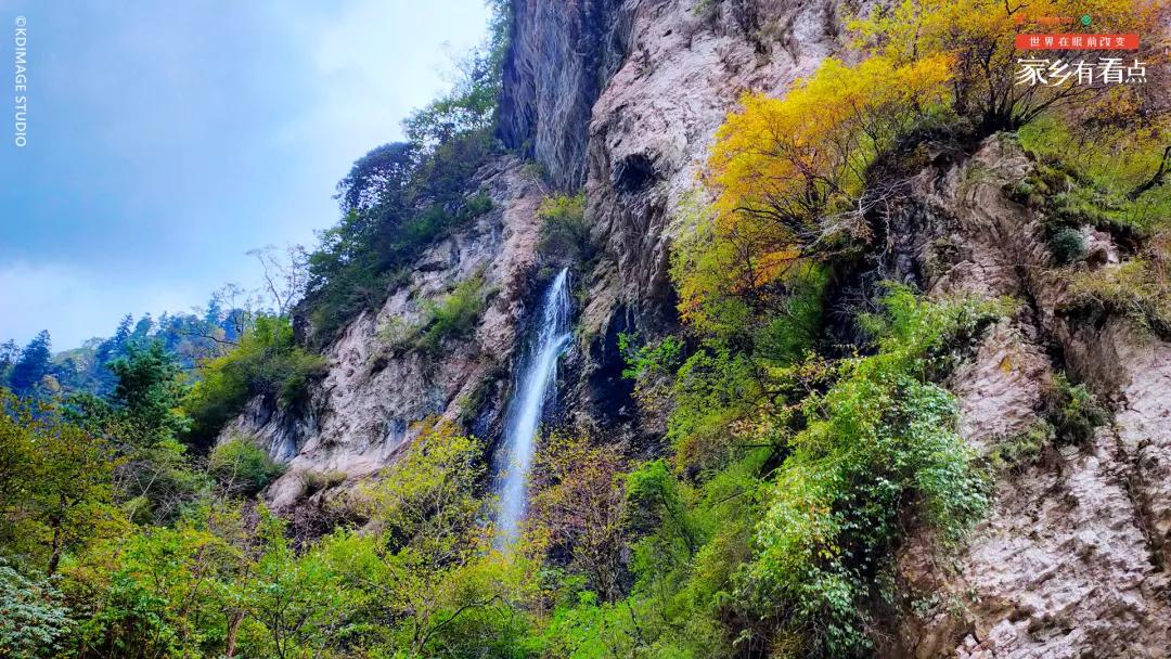 縣西郊的官鵝溝國家森林公園是宕昌必打卡的景點之一,是國家4a級旅遊