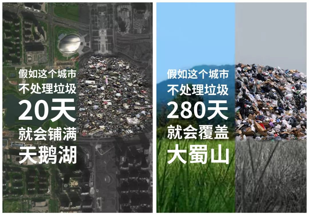 深度合肥市垃圾分类现状调查