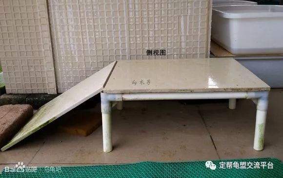 谈谈我的养龟环境以及养的龟,多图文,请耐心看_瓷砖