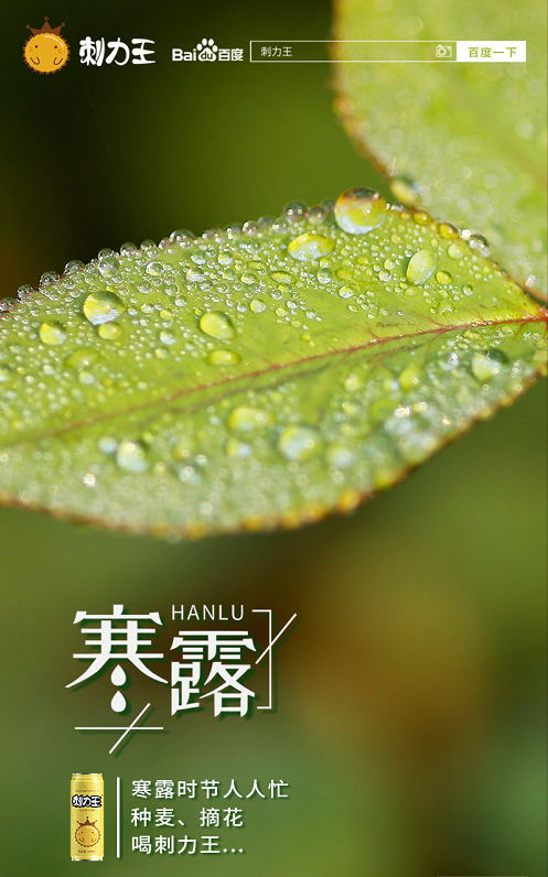 寒露时节人人忙 | 种麦,摘花,喝刺力王