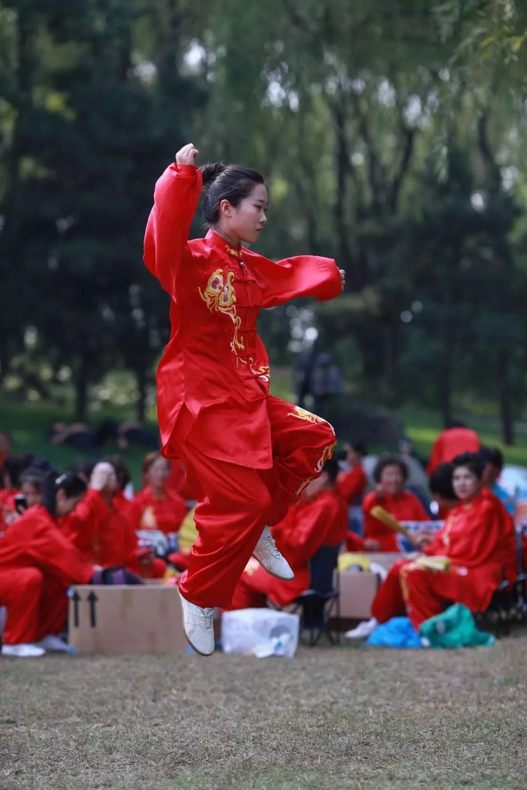 冠军邱慧芳带领海太协会代表队在国庆游园活动中精彩展演24式太极拳