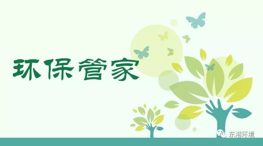 绿意盎然：云南环保公司的绿色行动