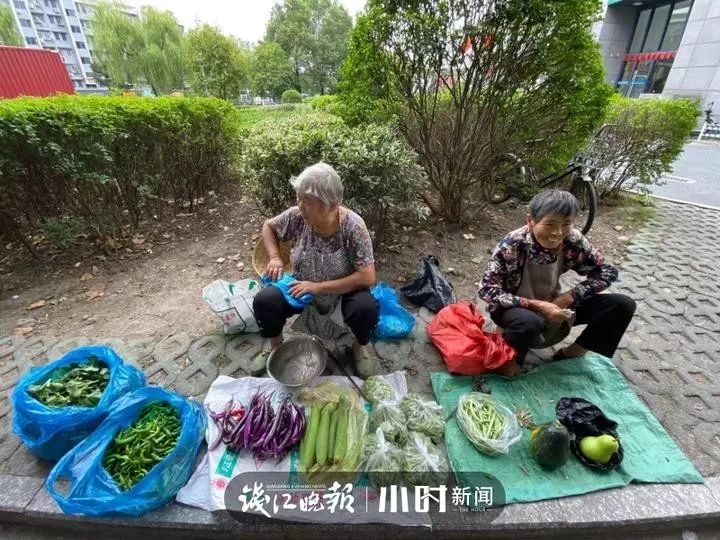 孩子買了奔馳寶馬孫媳婦還是老師杭州小區門口擺攤賣菜老太太真的