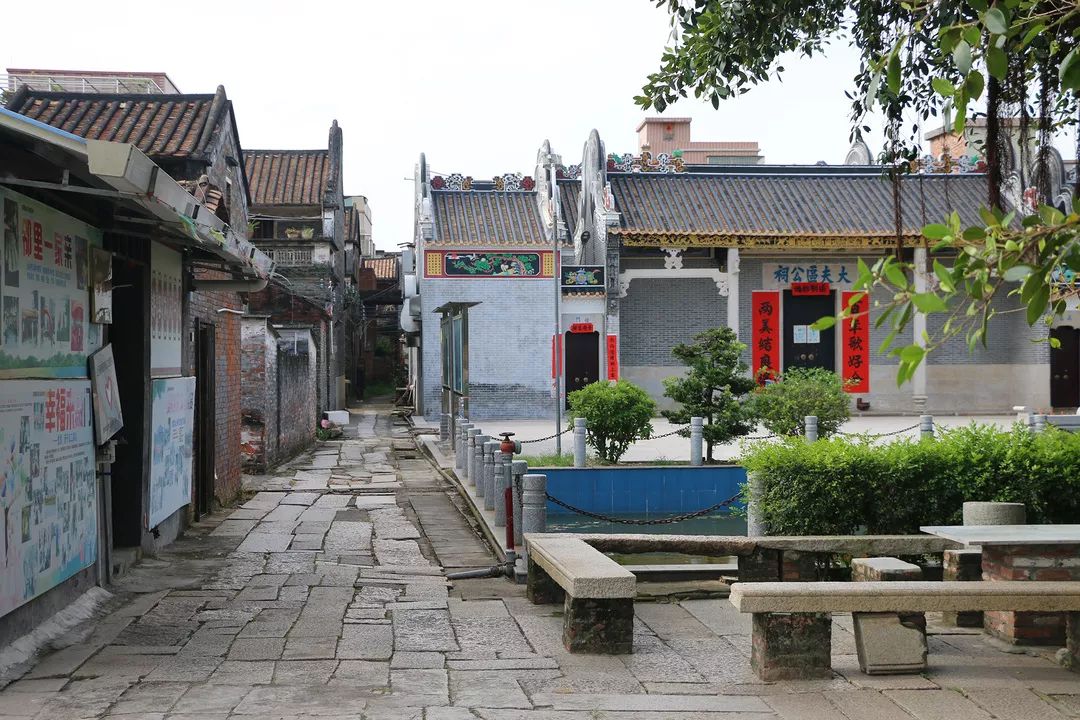 荷城街道南洲东西村,尼教上泽村,塘南塘边村,泰兴曹家村,泰兴下古耶村