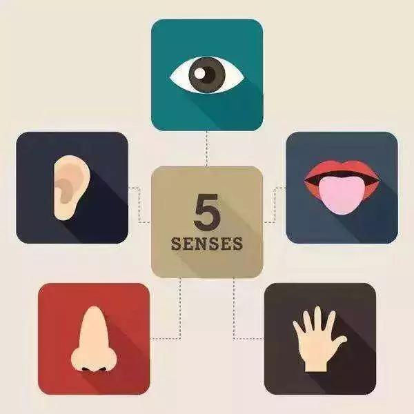 南京感统训练中心康复师宝宝感官训练第一课