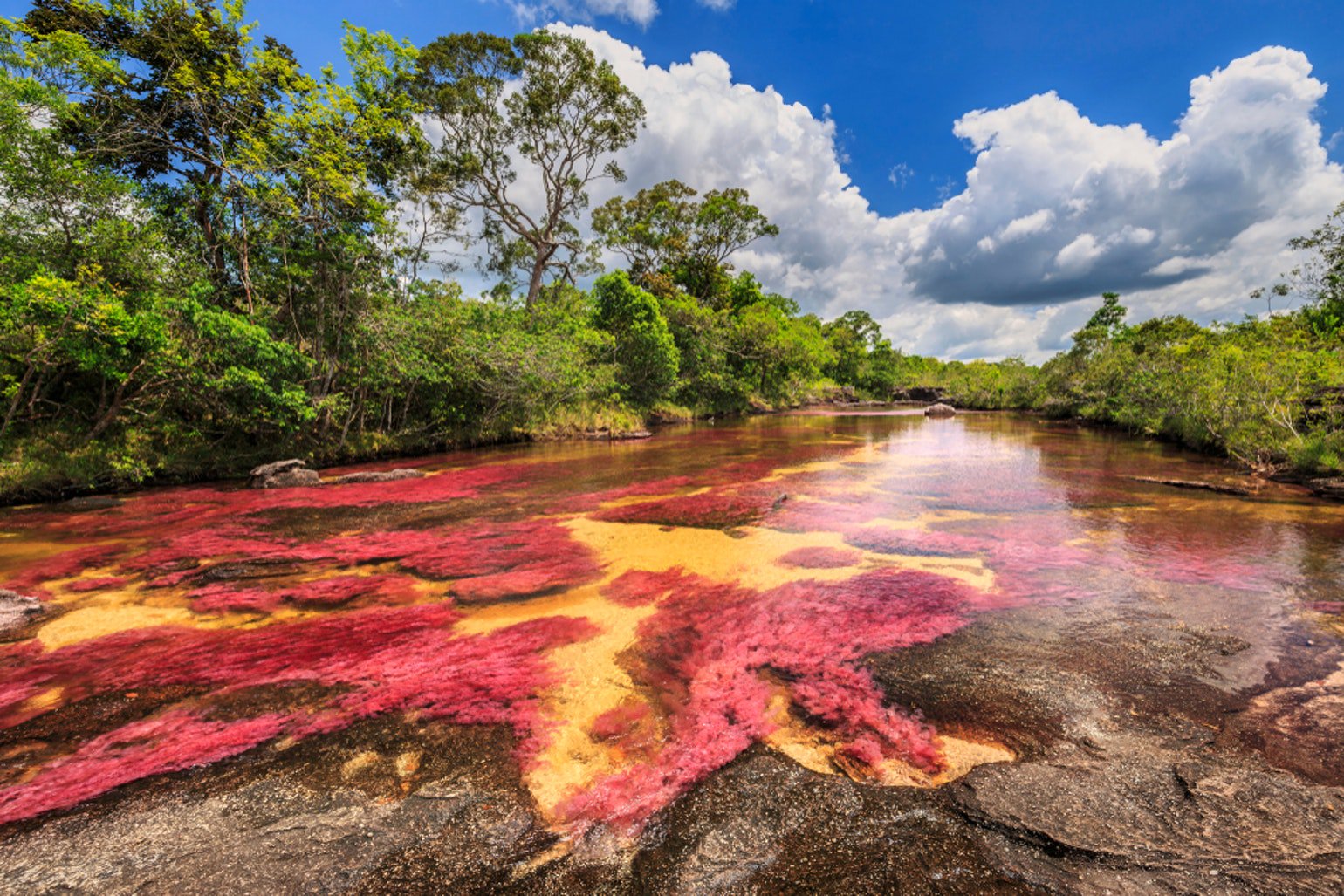 位于南美洲哥伦比亚北部的水晶河(cano cristales),亦有人称作彩虹河