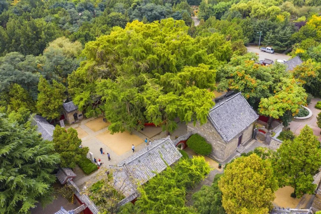 浮来山风景区简介图片