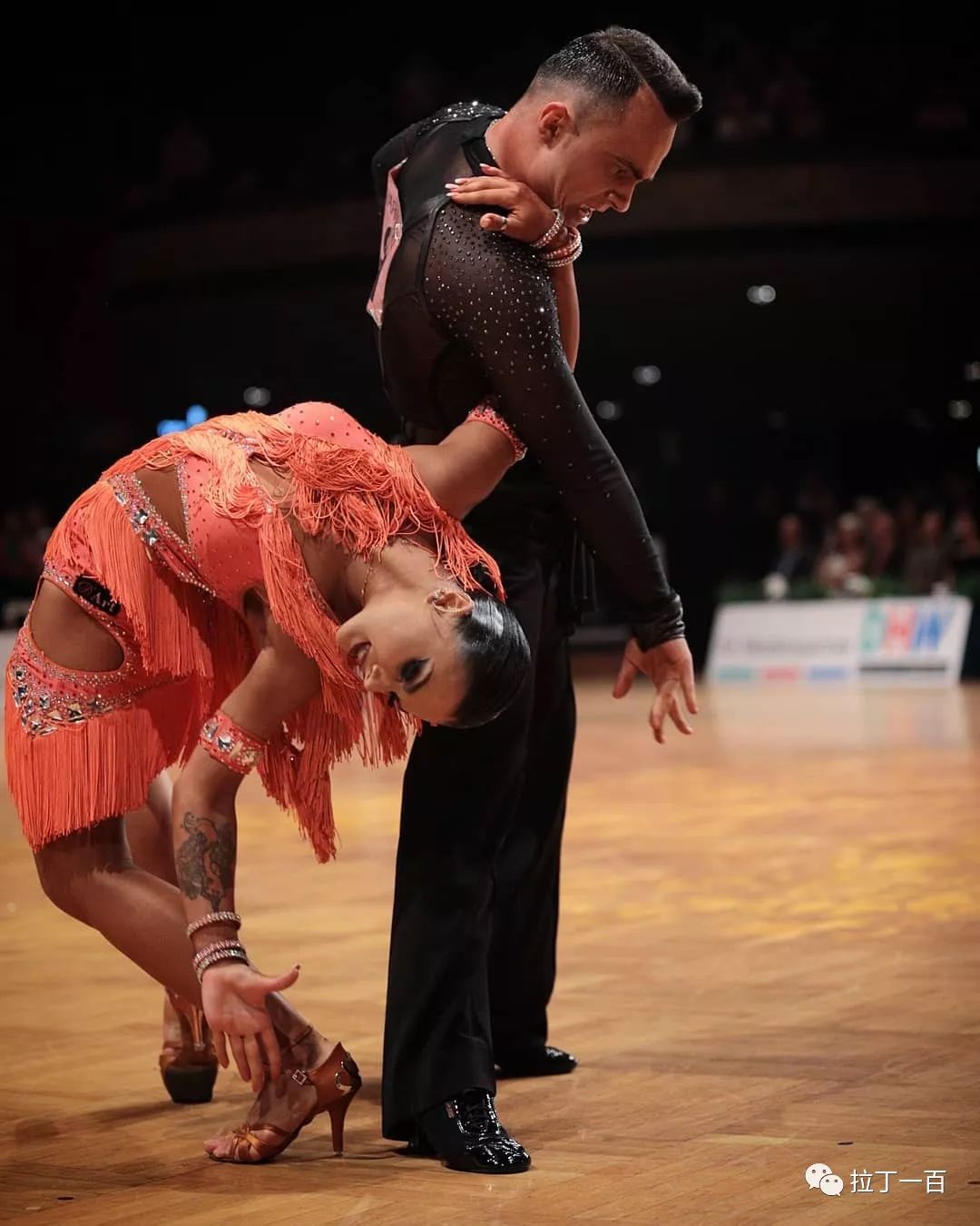 图文:拉丁舞斗牛陈金/王为夺冠 动作有力