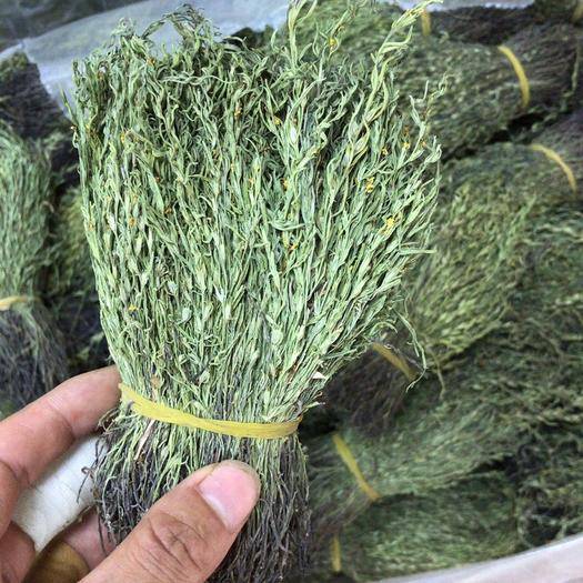 这种草,农村一年四季可见,在市场上价格一斤上千元