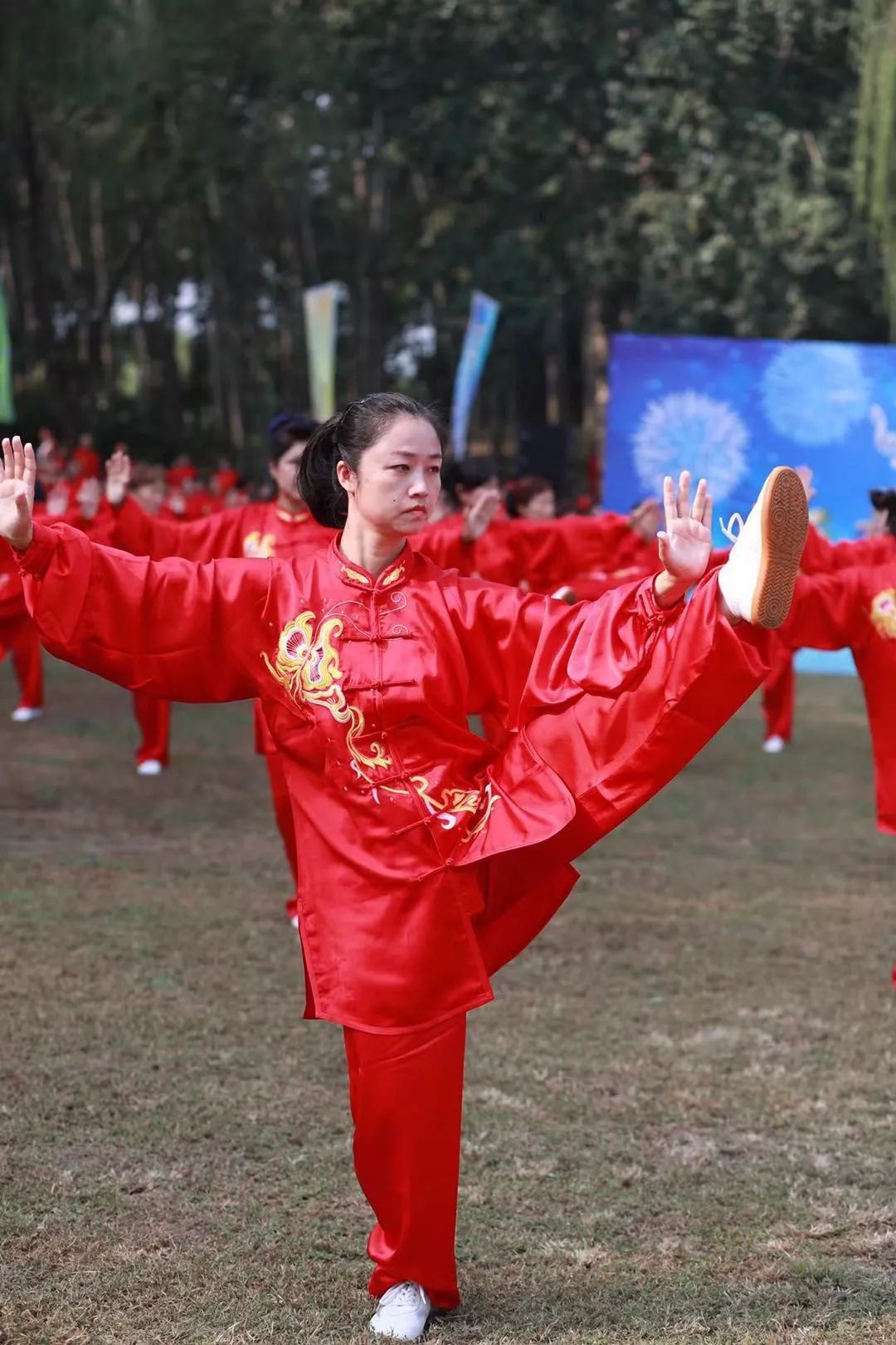 世界冠軍邱慧芳帶領海太協會代表隊在國慶遊園活動中精彩展演24式太極