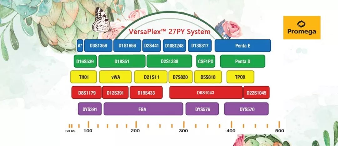 官宣！VersaPlex™ 27PY System已入国家数据库！_样本