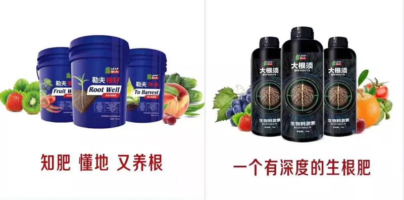 益气养阴：中医养生与疾病防治的新趋势