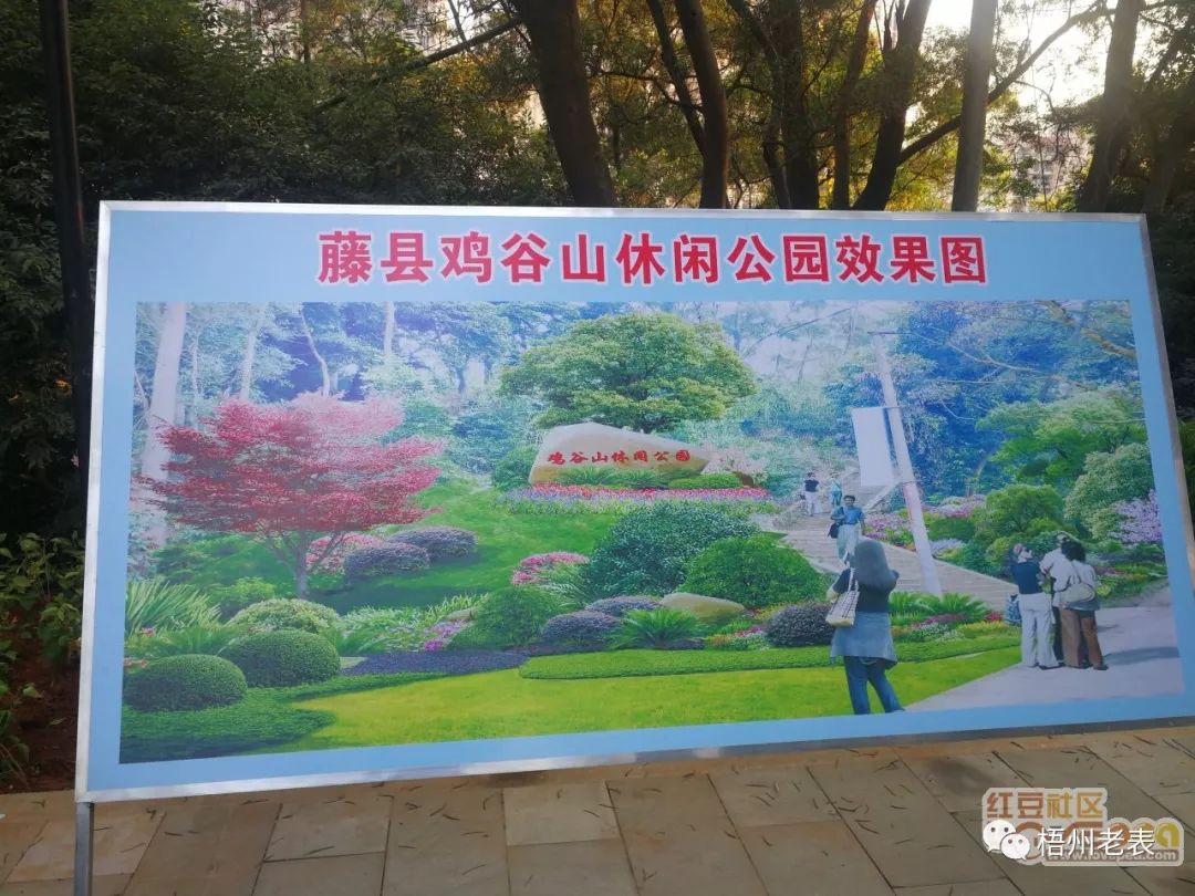 藤县有个鸡谷山公园四王亭风景如画你去过吗