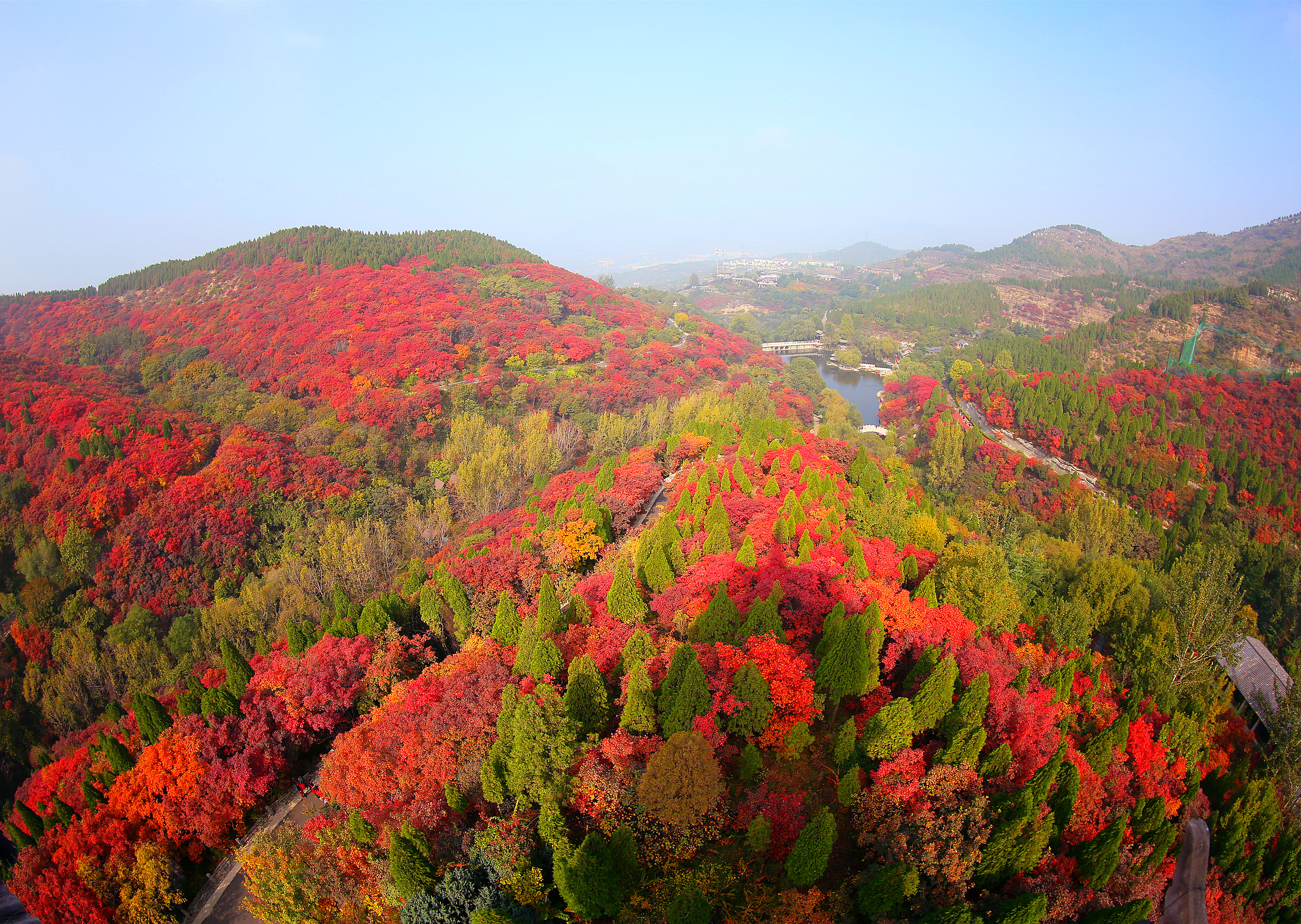 万山红遍/网红打卡/秋天的红叶谷