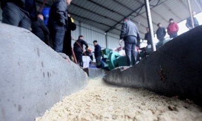 你是对造纸制浆用消泡剂有什么误解为会有反作用正名