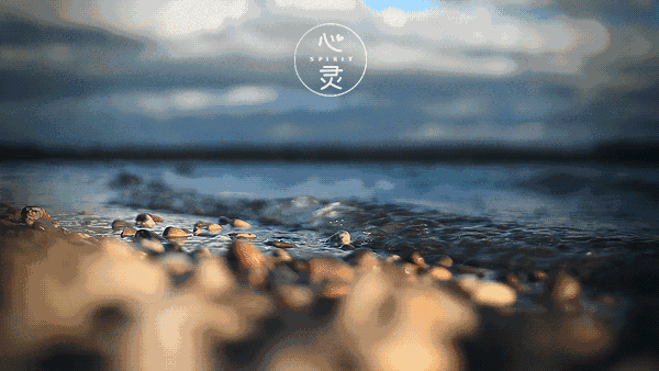 600_338gif 动态图 动图