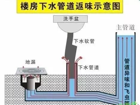 同層排水地漏的優勢是什麼如何設置同層排水地漏