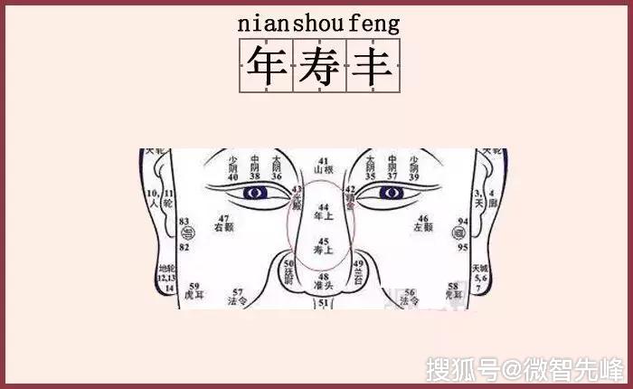 年寿分别是"年上""寿上",大致位于鼻梁的中部,即