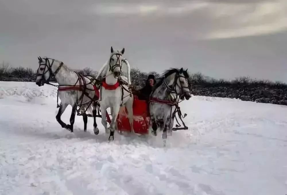 全套三套车终于找齐美到心窝