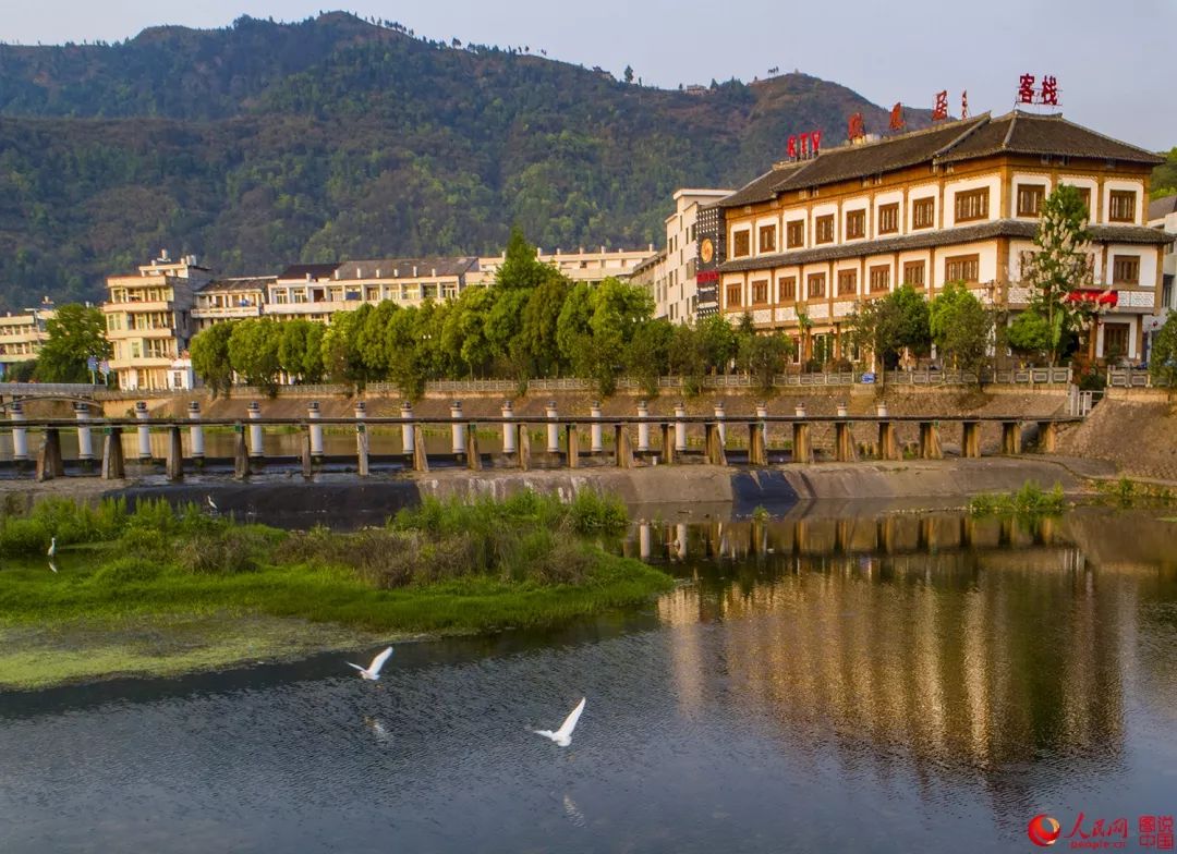 自驾线路:g15萧江高速出口—104国道—230省道—腾蛟镇.