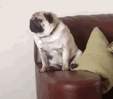 398_349gif 动态图 动图